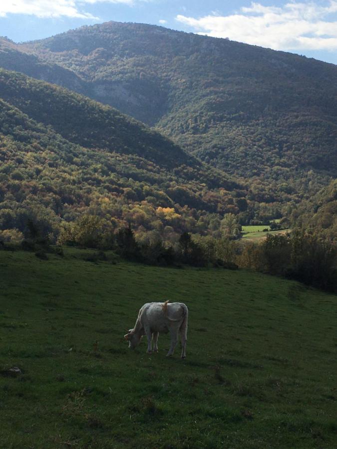 Mas Molladar Solo Adultos Camprodon Exterior foto